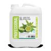 SAPUN LICHID  VERBENA& BERGAMOTA 5L
